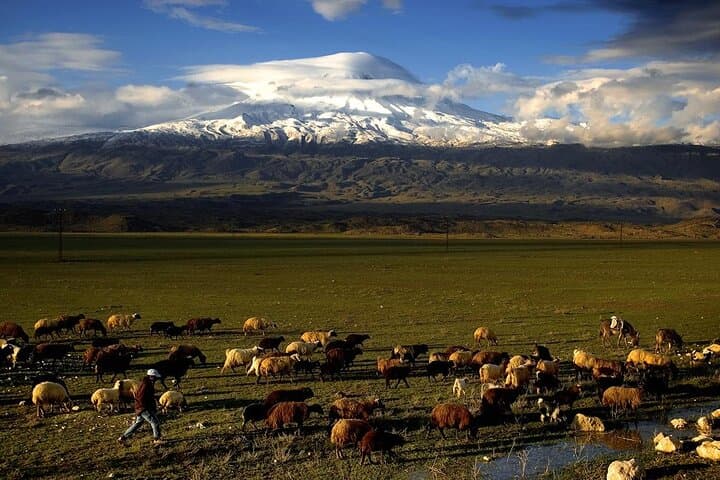 Eastern Turkey 12-Day Sightseeing Tour from Trabzon — Mount Ararat, Lake Van & Göbekli Tepe photo 6