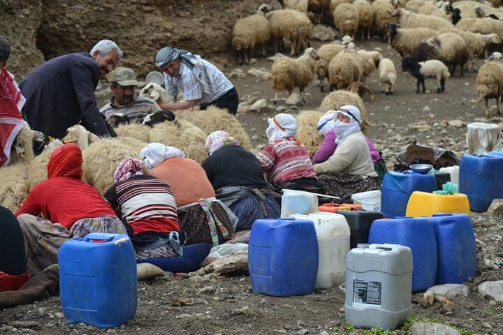 Eastern Turkey 12-Day Sightseeing Tour from Trabzon — Mount Ararat, Lake Van & Göbekli Tepe photo 2