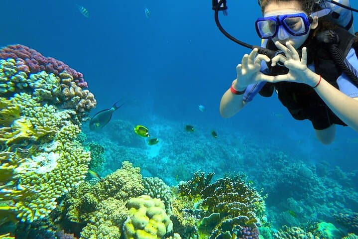 Learn to Scuba Dive in Key Largo: PADI Full-Day Reef Adventure
