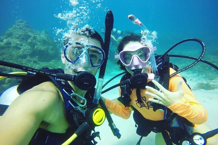 Learn to Scuba Dive in Key Largo: PADI Full-Day Reef Adventure photo 6
