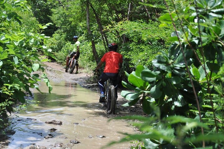 Extreme Outback Tour St Lucia — 4x4 Off‑Road Adventure to Donkey Beach photo 3