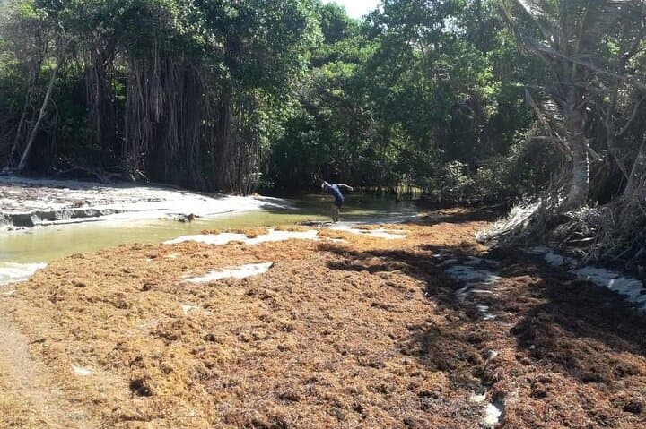 Extreme Outback Tour St Lucia — 4x4 Off‑Road Adventure to Donkey Beach photo 4