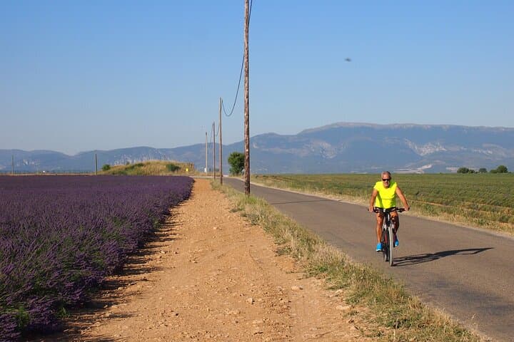 Valensole Lavender Fields Tour from Aix-en-Provence — 5-Hour Small-Group Excursion photo 3