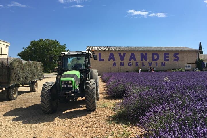 Valensole Lavender Fields Tour from Aix-en-Provence — 5-Hour Small-Group Excursion photo 6