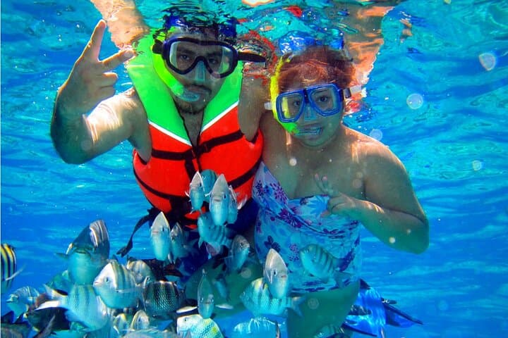 Cozumel Snorkel: El Cielo, Palancar & Colombia Reef Tour photo 3