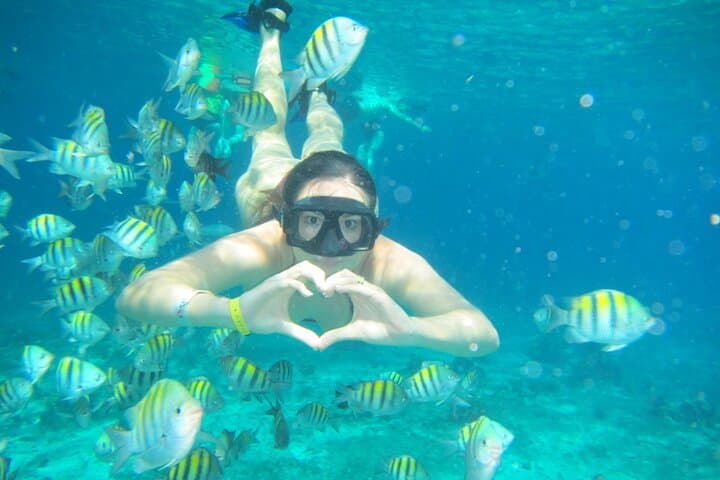Cozumel Snorkel: El Cielo, Palancar & Colombia Reef Tour photo 6