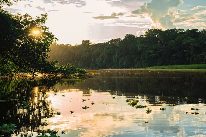 5-Day Amazon Jungle Adventure at Amazon Peacock Paradise Ecolodge (From Manaus)