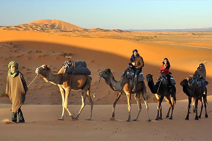Evening Desert Safari Dubai: Dune Bashing, Sunset & BBQ Under the Stars photo 4