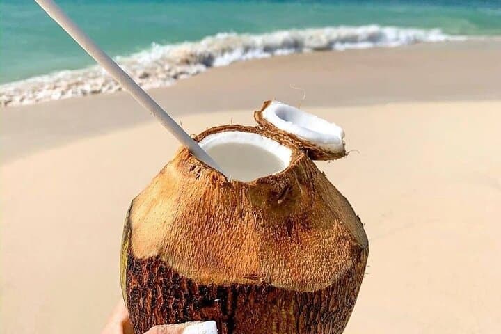 Saona Island Day Trip from Bayahibe: Snorkel, Natural Pools & Local Lunch photo 6