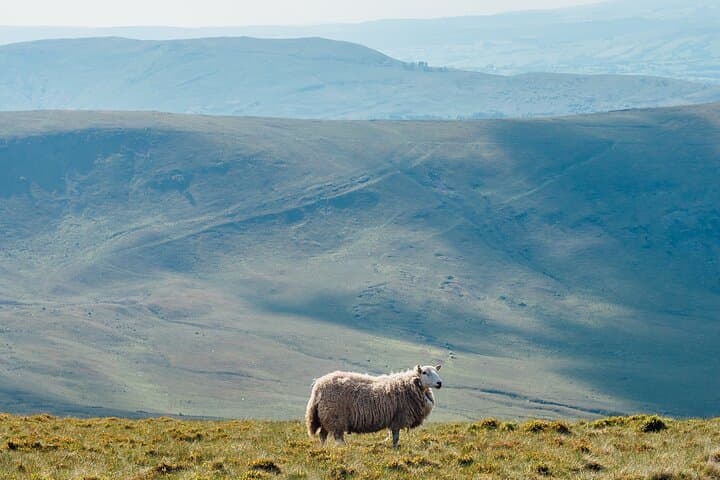 Discover Brecon Beacons: Self-Guided Tour with Hidden Gems and Big Britain Quiz photo 5