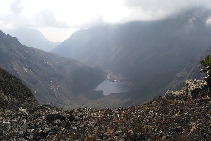 Rwenzori Mountains Trek: 7-Day Margherita Peak Summit and Central Circuit photo 6