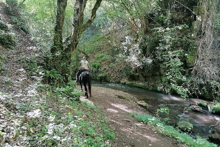 Dog-Friendly Trek Through Sutri, Nepi and Civitacastellana: Archaeology & Streams Near Rome photo 4