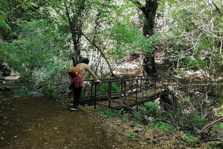 Dog-Friendly Trek Through Sutri, Nepi and Civitacastellana: Archaeology & Streams Near Rome photo 6