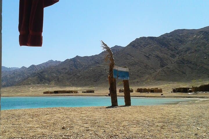 Blue Hole & Ras Abu Galum: Camel Safari and Red Sea Snorkel from Taba photo 5