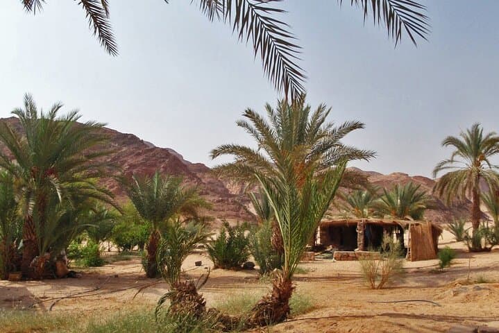 Explore Coloured and White Canyon: Full-Day Jeep Safari from Dahab photo 4
