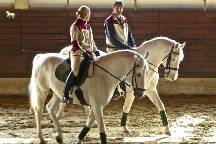 Lipica Stud Farm & Skocjan Caves Day Trip from Ljubljana — Lipizzaners and the World’s Largest Underground Canyon photo 3
