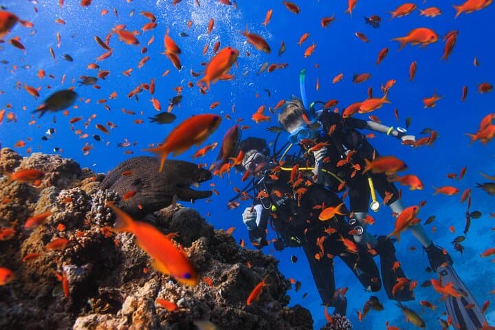 Introductory Red Sea Scuba: 1:1 Guided Dive from Hurghada on a 27m Boat