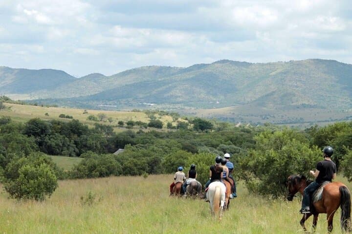Harties Horse Trail Safari Half-Day: Horseback Wildlife Ride near Pretoria