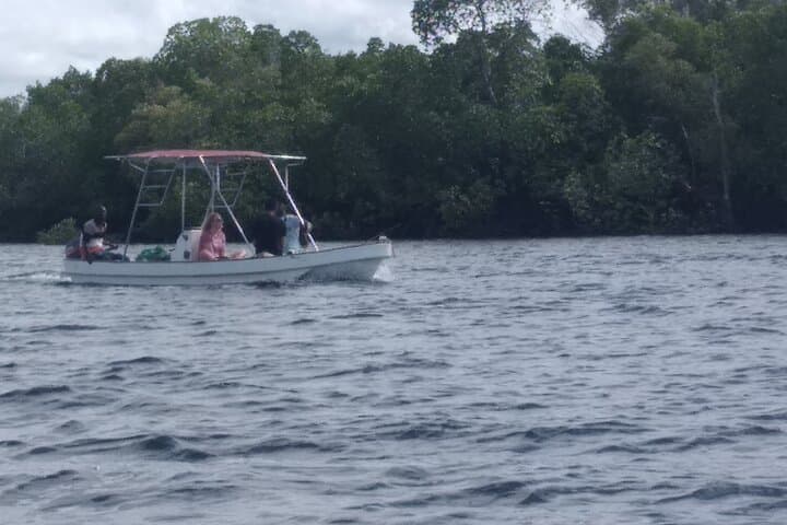 Funzi Island Day Trip: Crocodile River Cruise, Mangrove Beaches & Seafood Lunch photo 4