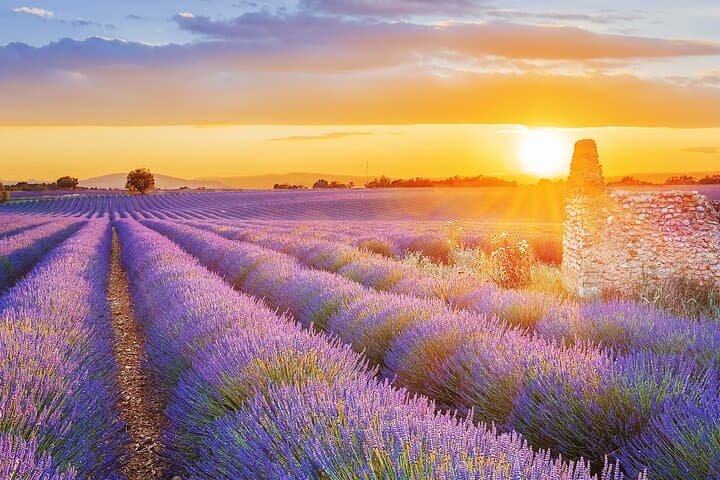Lavender Route Day Trip from Avignon: Sénanque Abbey, Gordes & Roussillon photo 5