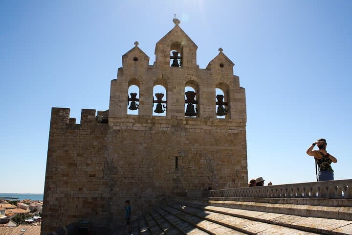 Camargue Day Trip from Avignon: Flamingos, Horses & Aigues-Mortes photo 5