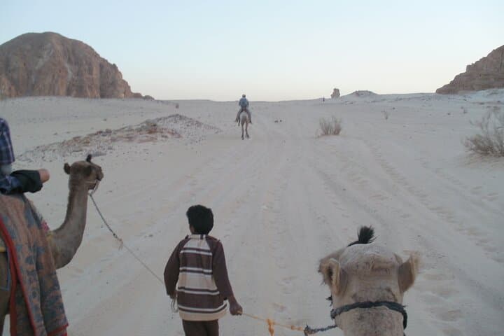 Sinai Camel Safari: 3-Day Dahab Desert & Oasis Trek photo 5