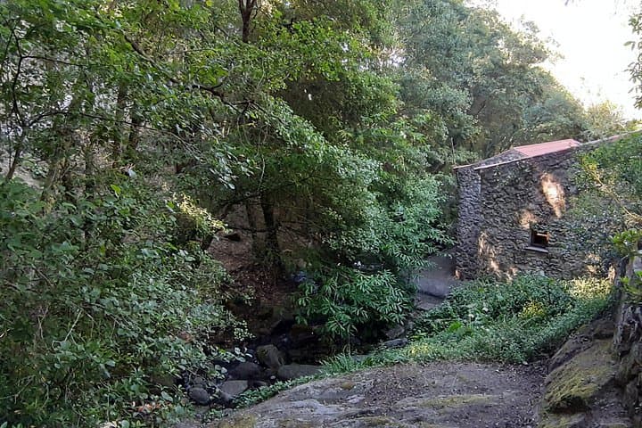 4-Hour Serra de Monchique Adventure: Fóia Peak, Monchique Village & Tasting photo 4