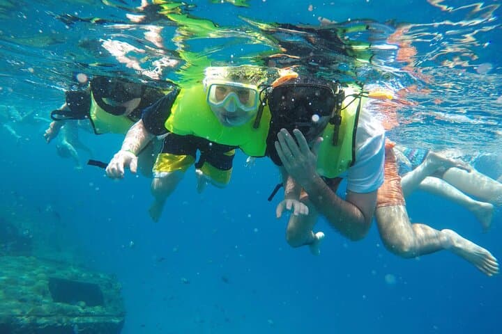 Barbados Surf & Turf Shore Excursion — Monkeys, Bathsheba & Carlisle Bay Snorkel photo 4