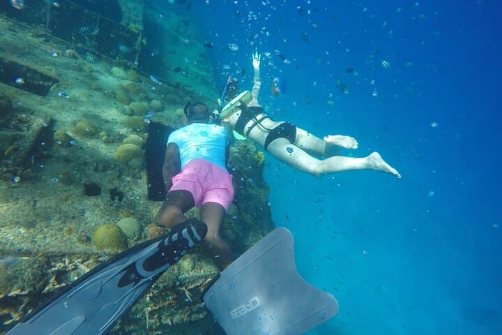 Carlisle Bay Turtle & Shipwreck Cruise — Snorkel with Turtles in Barbados photo 6
