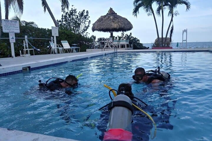 Learn to Scuba Dive in Key Largo: PADI Full-Day Reef Adventure photo 3