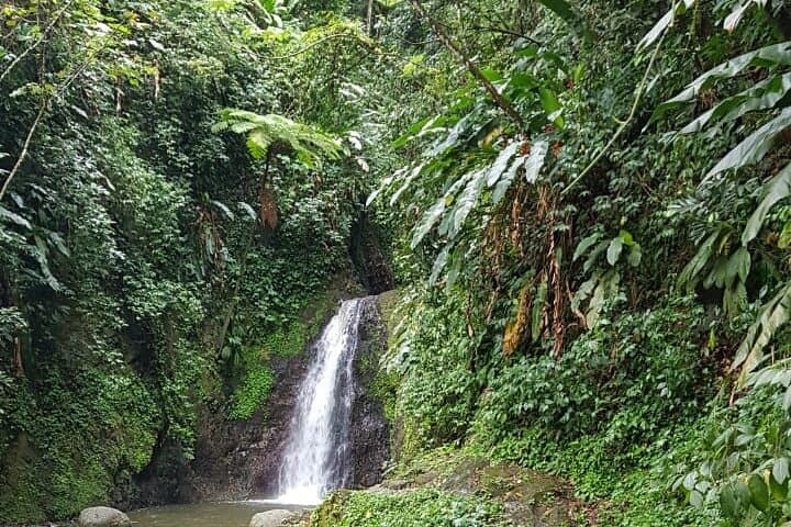 Seven Sisters Waterfalls Hike Grenada Rainforest Swim & Birdwatching photo 5