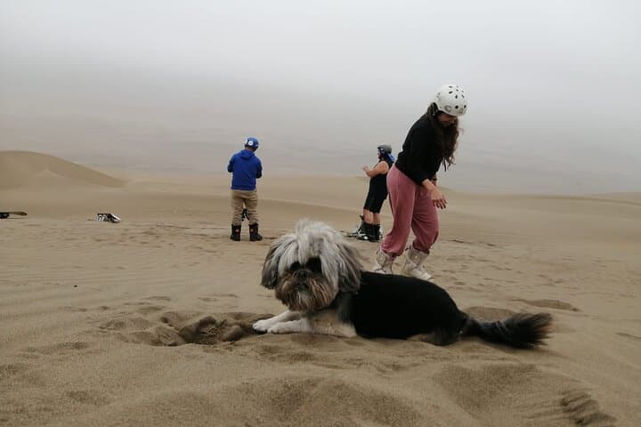 Sandboarding Chilca Dunes: Half-Day Adventure from Lima photo 5