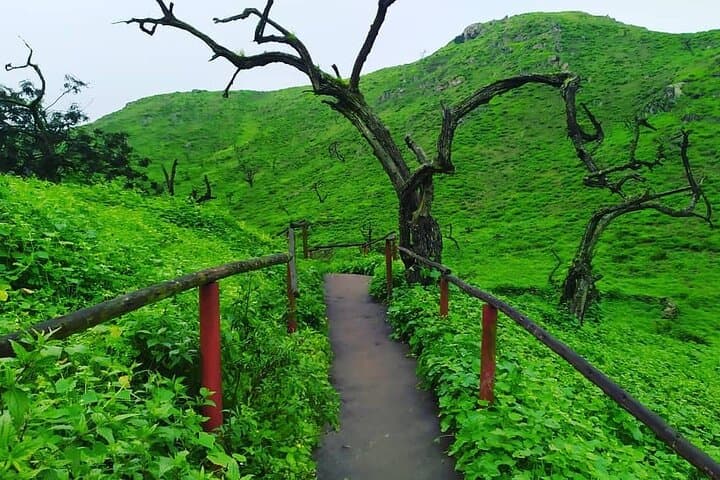 Hiking Lomas de Lachay: Fog-Oasis Day Hike from Lima photo 3