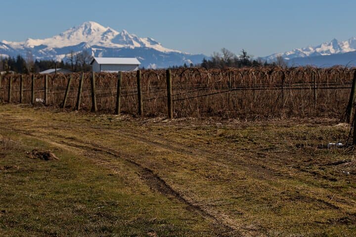 Private Border Corner Tour from Bellingham — Peace Arch, Lynden & Birch Bay photo 5