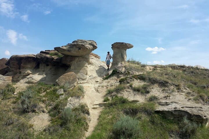 Drumheller Dinosaur Valley & Horseshoe Canyon Day Tour from Calgary photo 3