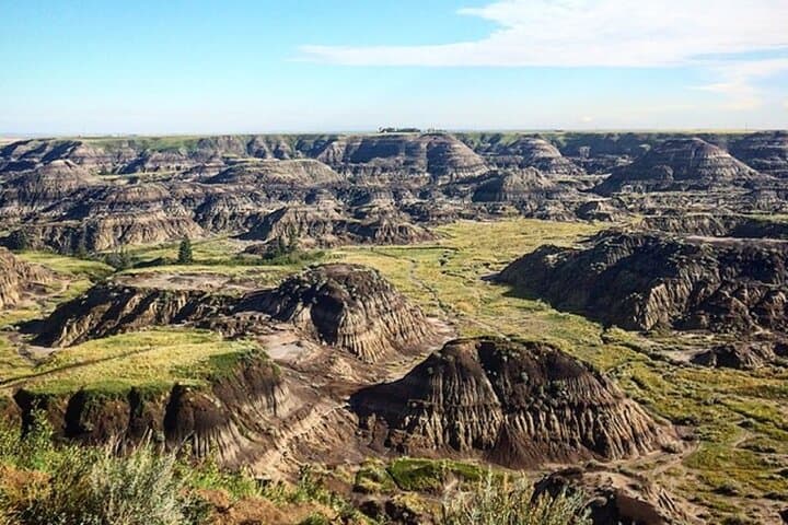 Drumheller Dinosaur Valley & Horseshoe Canyon Day Tour from Calgary