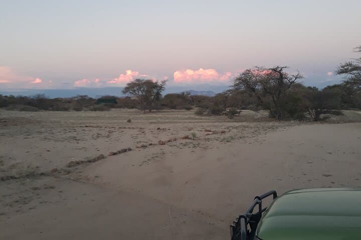 Spitzkoppe Day Tour from Swakopmund: Climb Namibia’s 'Matterhorn' and See Ancient Rock Art photo 4