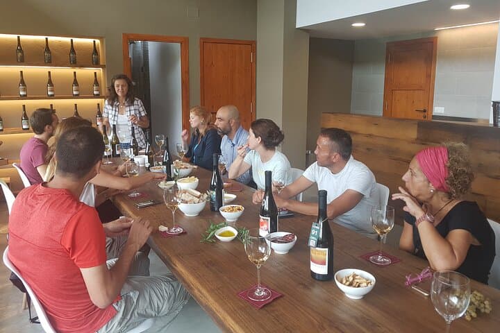Hike and Organic Wine Tasting at Can Marlés in El Penedés photo 6