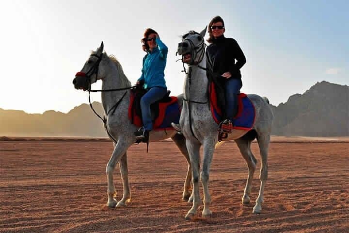 Horse Riding in Dahab: Blue Lagoon, Desert & Beach Tours photo 3