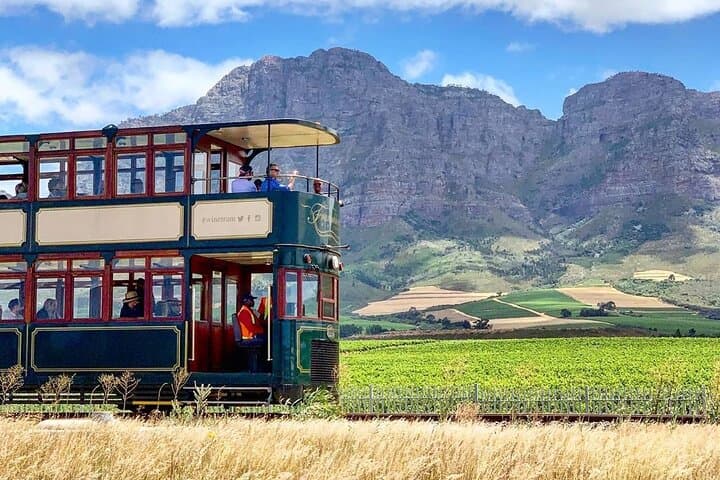 Taste + Tram the Cape Winelands: Stellenbosch, Franschhoek & Paarl Wine Tour photo 2