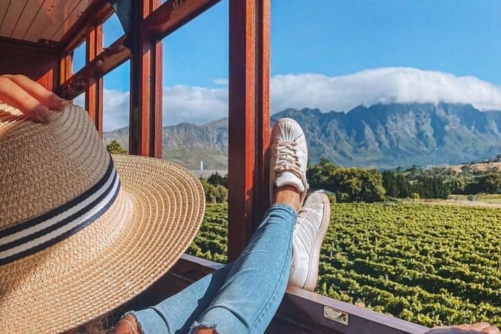 Taste + Tram the Cape Winelands: Stellenbosch, Franschhoek & Paarl Wine Tour photo 5