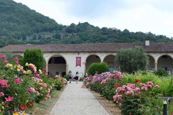 Prosecco & Classic-Method Sparkling Wine Tour from Verona — Colli Berici Tastings photo 6
