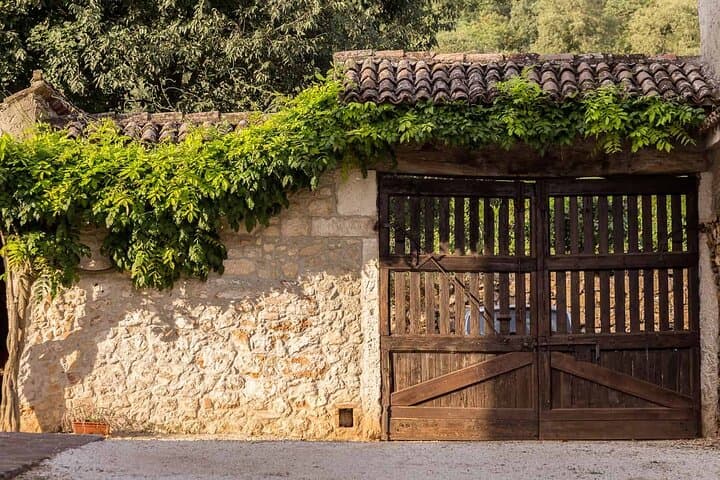 Prosecco & Classic-Method Sparkling Wine Tour from Verona — Colli Berici Tastings photo 4