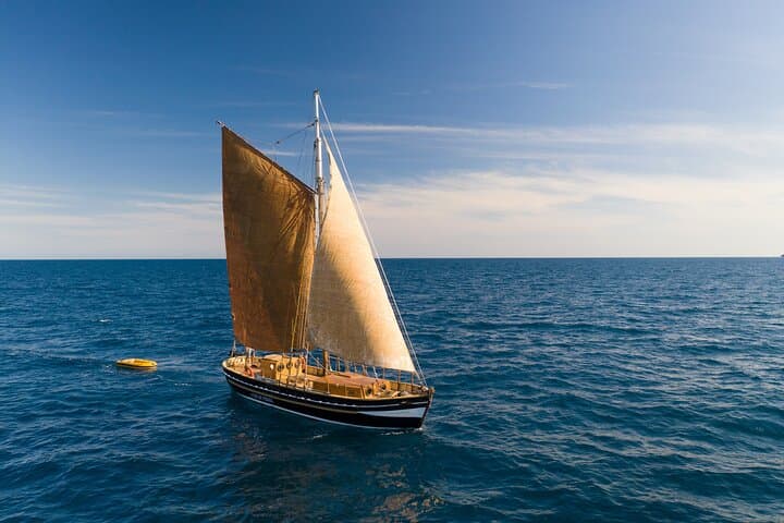 Full-Day Whale Watching from Barcelona — Mediterranean Whale & Dolphin Safari photo 3