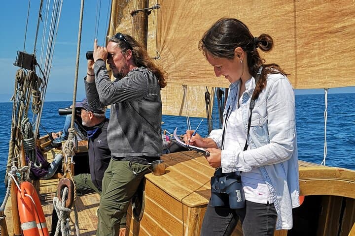 Full-Day Whale Watching from Barcelona — Mediterranean Whale & Dolphin Safari photo 6