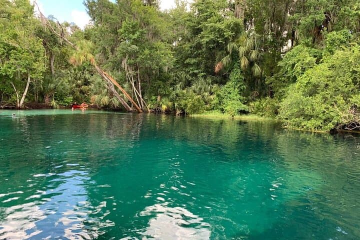Snorkel and Dive the Rainbow River: Crystal River Drift Experience photo 5