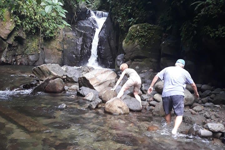 North Martinique Half-Day Nature and Panorama Tour: Mont Pelée, Waterfalls & Rum photo 1