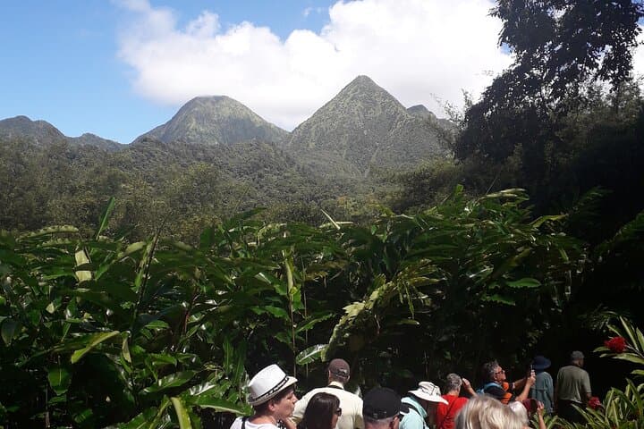North Martinique Half-Day Nature and Panorama Tour: Mont Pelée, Waterfalls & Rum photo 3