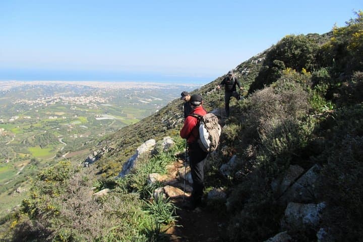 Jeep to Mount Juktas: Off-Road Wine & Olive Tasting near Heraklion photo 2