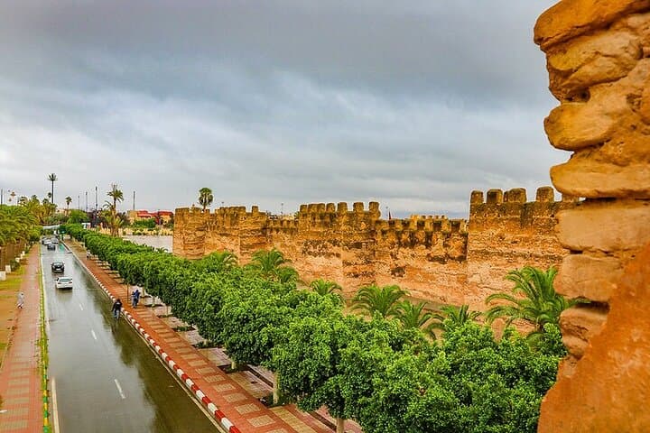 Tiout Oasis & Taroudant Day Explorer: Argan Trees, Kasbahs, and Souks from Agadir photo 4